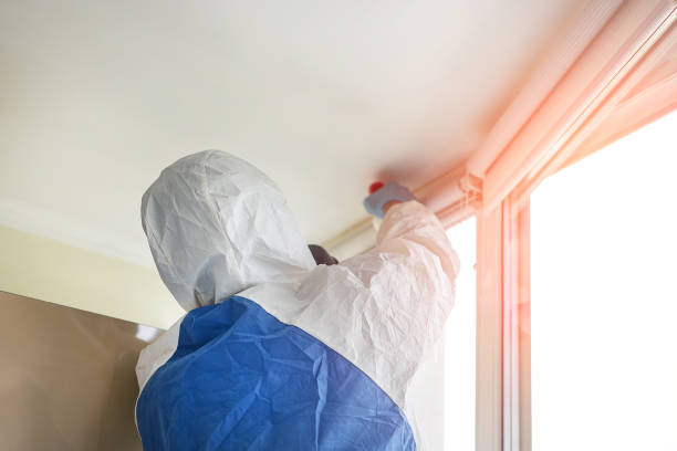 Mold Removal for HVAC Installations in Loughman, FL